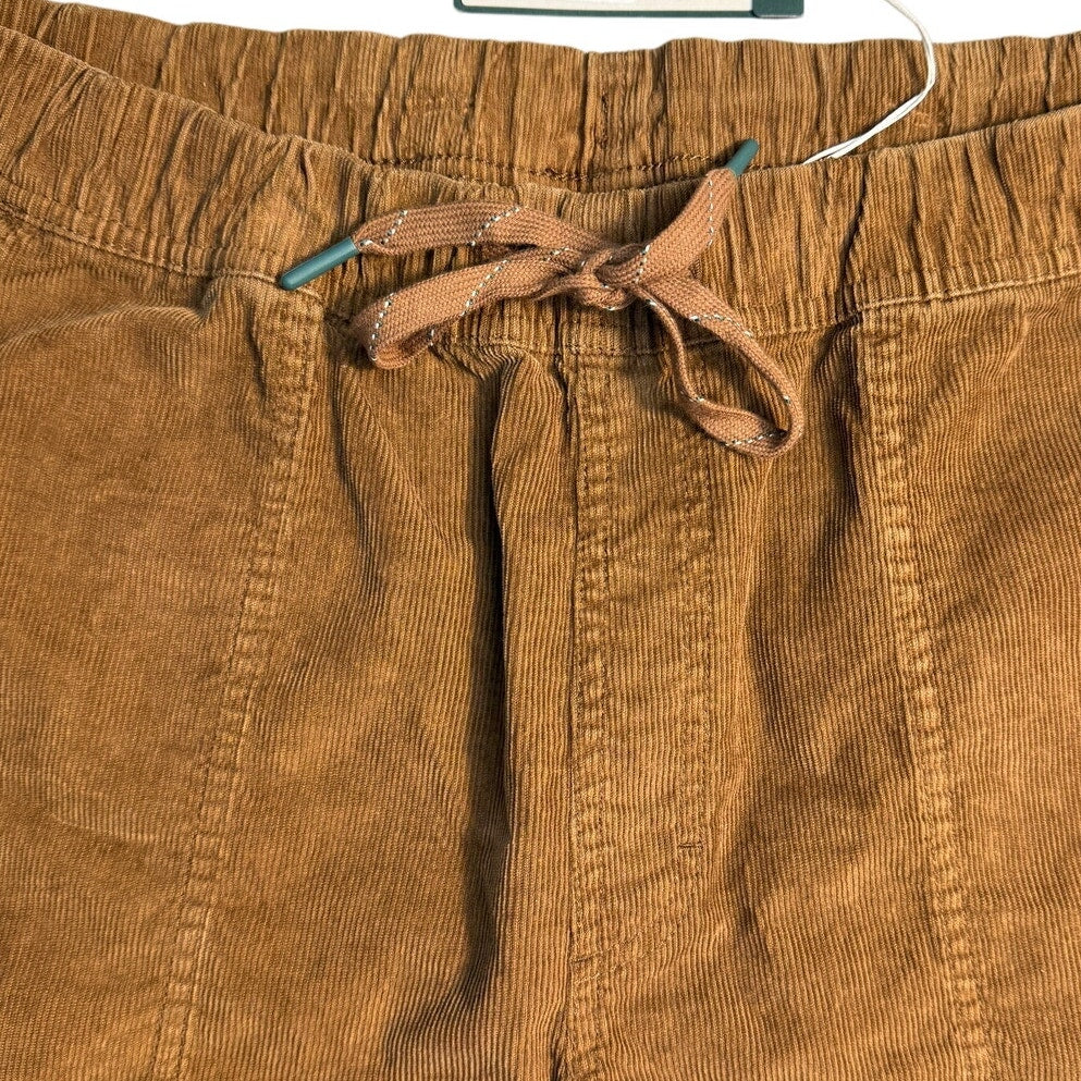 Men's Alpine Design Hike Corduroy Shorts in roasted coffee color, large size, showing the front view with corduroy fabric.