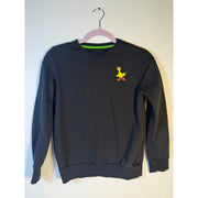Under Armour Curry Sesame Street Big Bird youth sweatshirt in black with Big Bird graphic, size medium for boys.